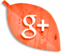 Google Plus